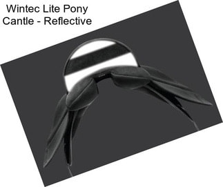 Wintec Lite Pony Cantle - Reflective
