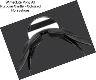 WintecLite Pony All Purpose Cantle - Coloured Horseshoes