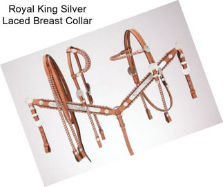 Royal King Silver Laced Breast Collar