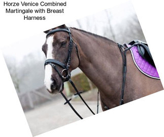 Horze Venice Combined Martingale with Breast Harness