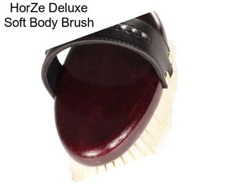 HorZe Deluxe Soft Body Brush