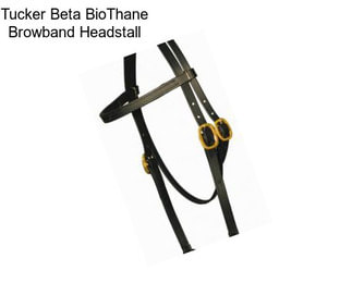 Tucker Beta BioThane Browband Headstall