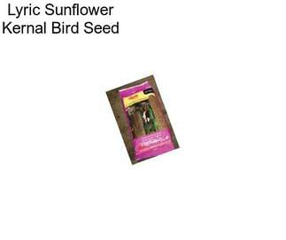 Lyric Sunflower Kernal Bird Seed