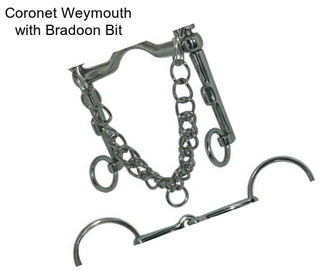 Coronet Weymouth with Bradoon Bit