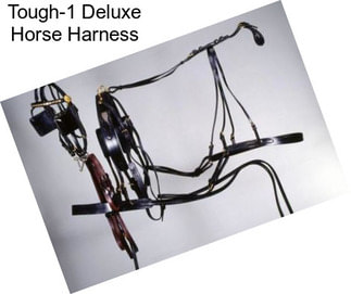 Tough-1 Deluxe Horse Harness