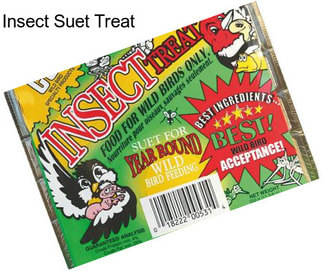 Insect Suet Treat