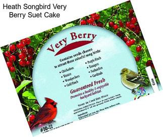 Heath Songbird Very Berry Suet Cake