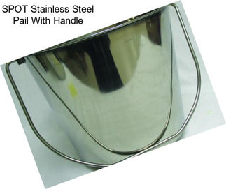 SPOT Stainless Steel Pail With Handle