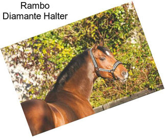 Rambo Diamante Halter