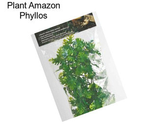 Plant Amazon Phyllos
