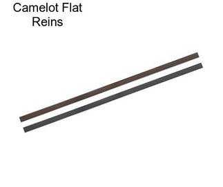 Camelot Flat Reins