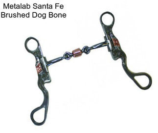 Metalab Santa Fe Brushed Dog Bone