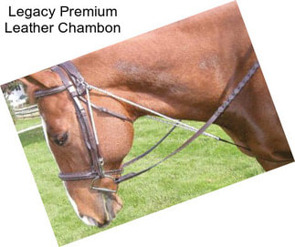 Legacy Premium Leather Chambon