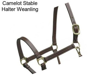 Camelot Stable Halter Weanling