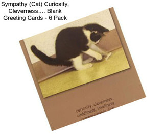 Sympathy (Cat) Curiosity, Cleverness.... Blank Greeting Cards - 6 Pack