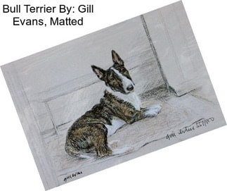 Bull Terrier By: Gill Evans, Matted
