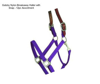 Gatsby Nylon Breakaway Halter with Snap - 12pc Assortment