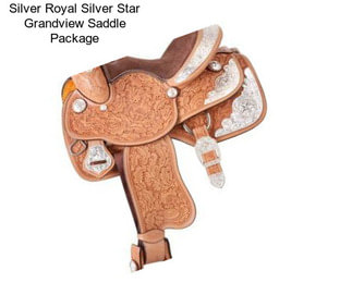 Silver Royal Silver Star Grandview Saddle Package