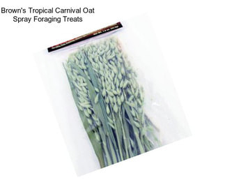 Brown\'s Tropical Carnival Oat Spray Foraging Treats