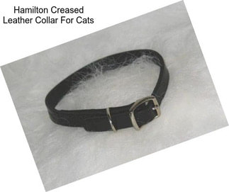 Hamilton Creased Leather Collar For Cats