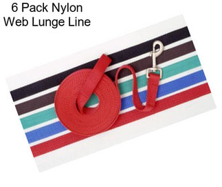 6 Pack Nylon Web Lunge Line