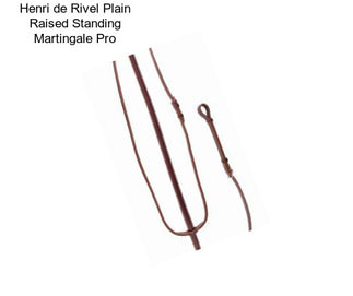 Henri de Rivel Plain Raised Standing Martingale Pro