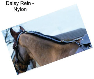 Daisy Rein - Nylon