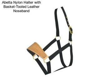 Abetta Nylon Halter with Basket-Tooled Leather Noseband