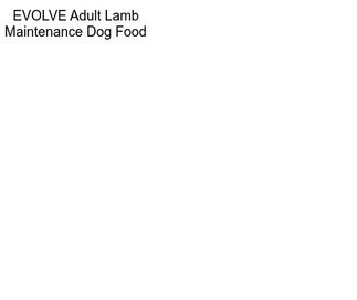 EVOLVE Adult Lamb Maintenance Dog Food