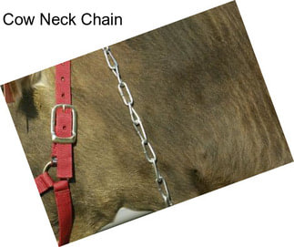 Cow Neck Chain