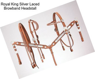 Royal King Silver Laced Browband Headstall