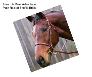 Henri de Rivel Advantage Plain Raised Snaffle Bridle