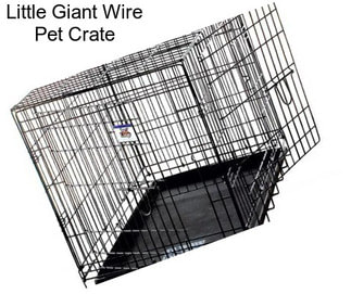 Little Giant Wire Pet Crate