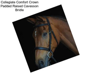 Collegiate Comfort Crown Padded Raised Cavesson Bridle