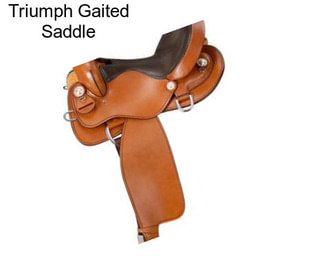 Triumph Gaited Saddle