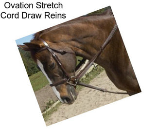 Ovation Stretch Cord Draw Reins