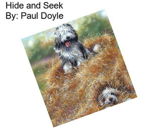 Hide and Seek By: Paul Doyle