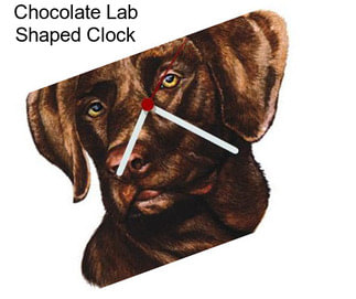 Chocolate Lab Shaped Clock