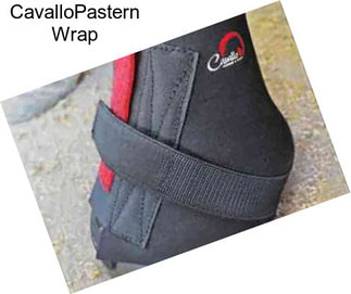 CavalloPastern Wrap