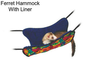 Ferret Hammock With Liner