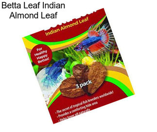 Betta Leaf Indian Almond Leaf