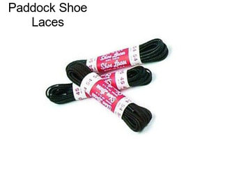 Paddock Shoe Laces