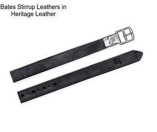 Bates Stirrup Leathers in Heritage Leather