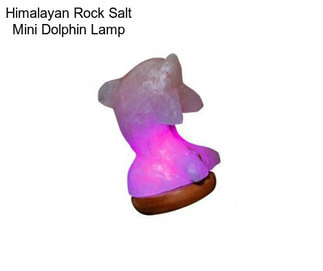 Himalayan Rock Salt Mini Dolphin Lamp