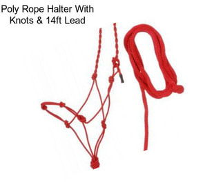 Poly Rope Halter With Knots & 14ft Lead