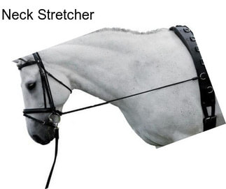 Neck Stretcher