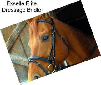 Exselle Elite Dressage Bridle