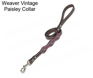 Weaver Vintage Paisley Collar