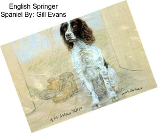 English Springer Spaniel By: Gill Evans