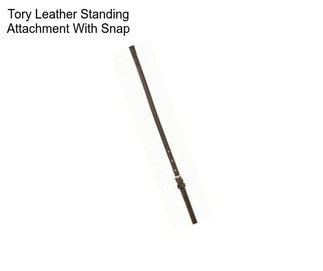 Tory Leather Standing Attachment With Snap
